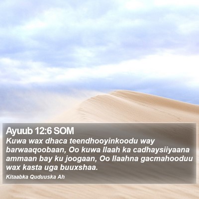Ayuub 12:6 SOM Bible Verse Image