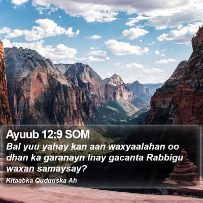 Ayuub 12:9 SOM Bible Verse Image