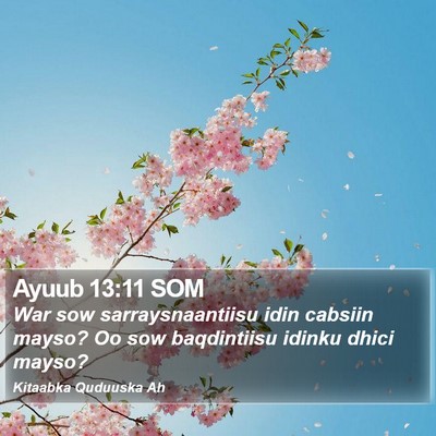 Ayuub 13:11 SOM Bible Verse Image