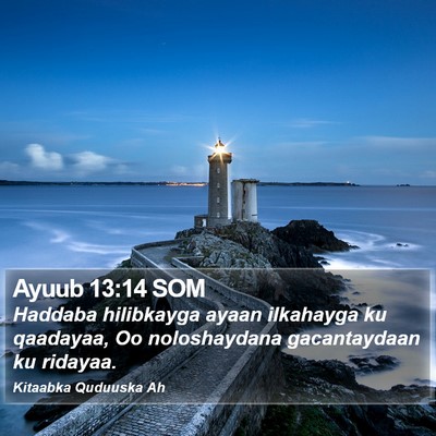 Ayuub 13:14 SOM Bible Verse Image