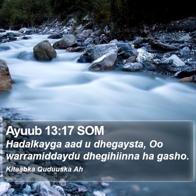 Ayuub 13:17 SOM Bible Verse Image