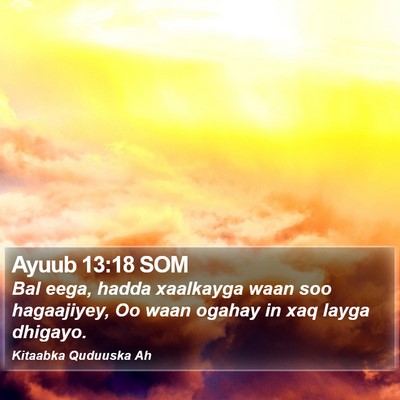 Ayuub 13:18 SOM Bible Verse Image