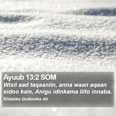 Ayuub 13:2 SOM Bible Verse Image
