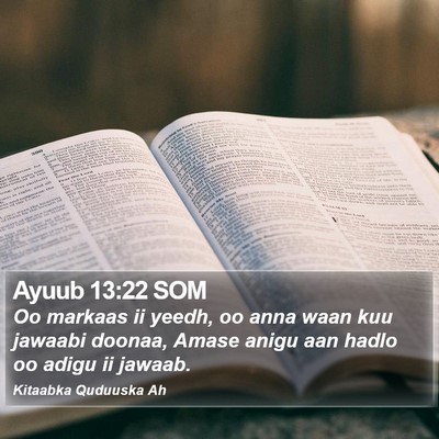 Ayuub 13:22 SOM Bible Verse Image