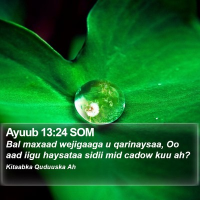 Ayuub 13:24 SOM Bible Verse Image