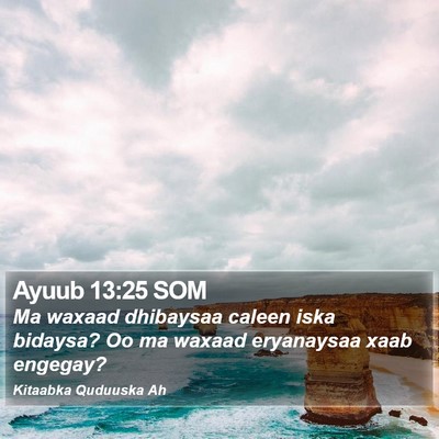 Ayuub 13:25 SOM Bible Verse Image