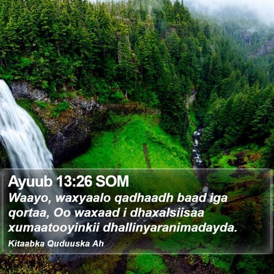 Ayuub 13:26 SOM Bible Verse Image