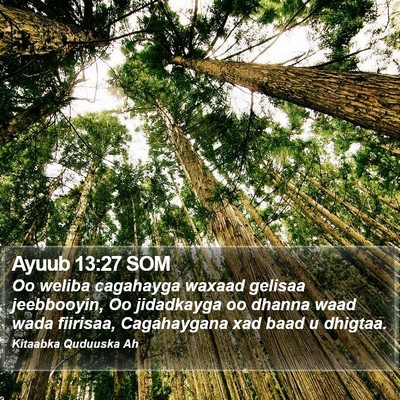 Ayuub 13:27 SOM Bible Verse Image