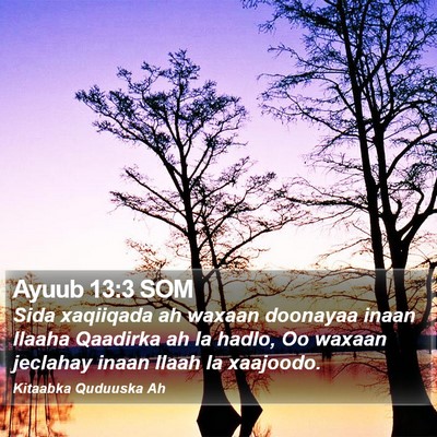 Ayuub 13:3 SOM Bible Verse Image