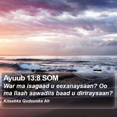 Ayuub 13:8 SOM Bible Verse Image