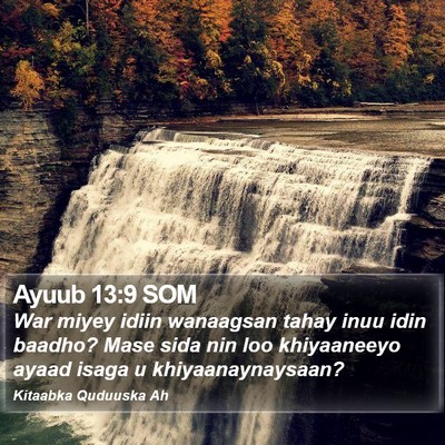 Ayuub 13:9 SOM Bible Verse Image