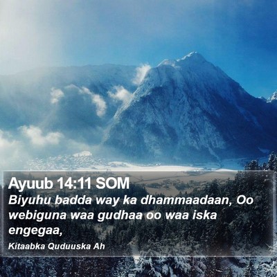 Ayuub 14:11 SOM Bible Verse Image