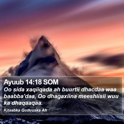 Ayuub 14:18 SOM Bible Verse Image
