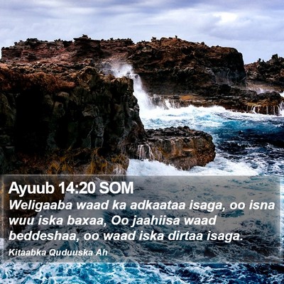 Ayuub 14:20 SOM Bible Verse Image
