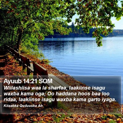 Ayuub 14:21 SOM Bible Verse Image