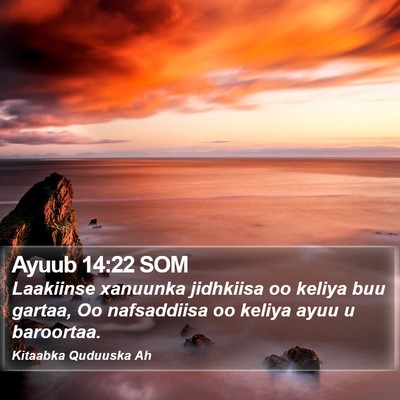 Ayuub 14:22 SOM Bible Verse Image