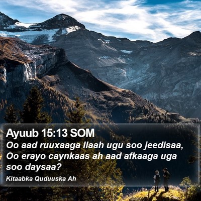Ayuub 15:13 SOM Bible Verse Image