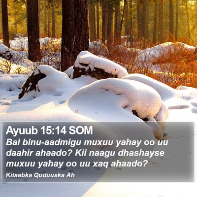 Ayuub 15:14 SOM Bible Verse Image