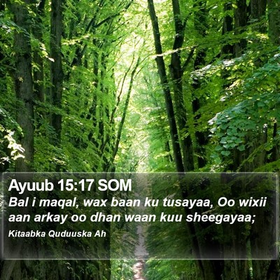 Ayuub 15:17 SOM Bible Verse Image