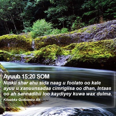 Ayuub 15:20 SOM Bible Verse Image