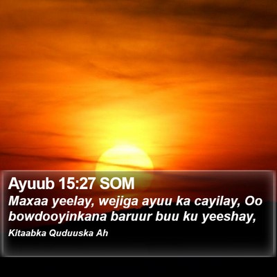 Ayuub 15:27 SOM Bible Verse Image