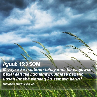 Ayuub 15:3 SOM Bible Verse Image