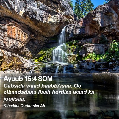 Ayuub 15:4 SOM Bible Verse Image