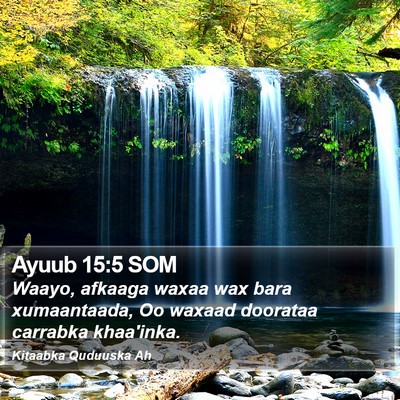 Ayuub 15:5 SOM Bible Verse Image
