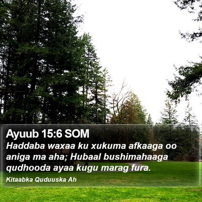 Ayuub 15:6 SOM Bible Verse Image