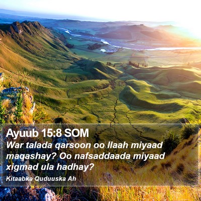 Ayuub 15:8 SOM Bible Verse Image