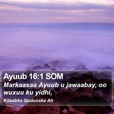 Ayuub 16:1 SOM Bible Verse Image
