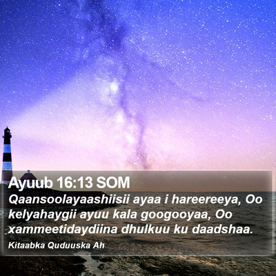 Ayuub 16:13 SOM Bible Verse Image