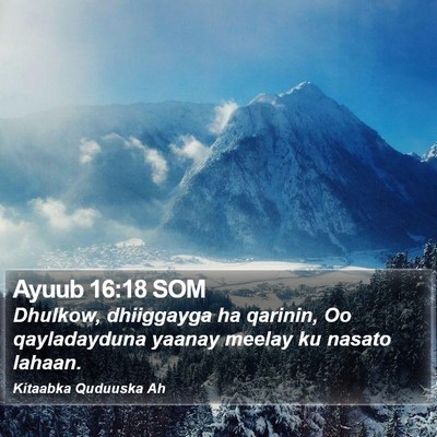 Ayuub 16:18 SOM Bible Verse Image