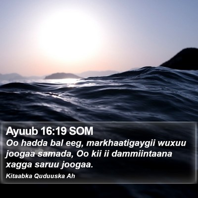 Ayuub 16:19 SOM Bible Verse Image