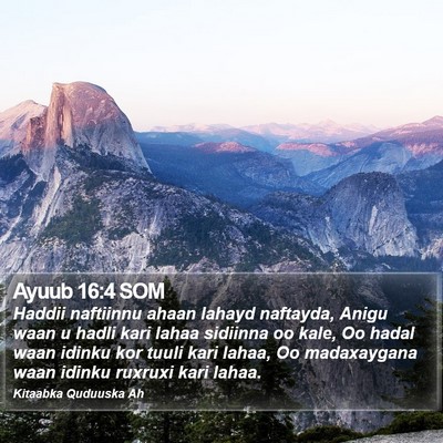 Ayuub 16:4 SOM Bible Verse Image