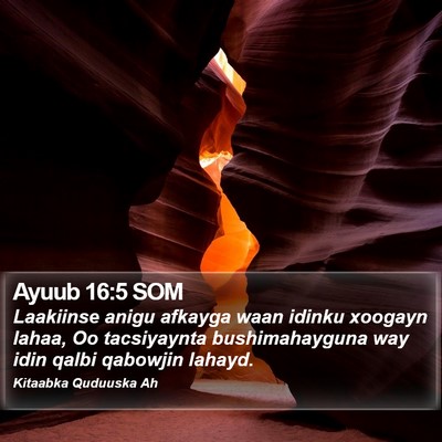 Ayuub 16:5 SOM Bible Verse Image