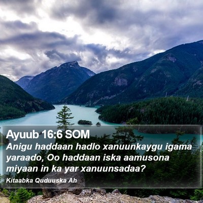 Ayuub 16:6 SOM Bible Verse Image