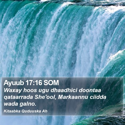 Ayuub 17:16 SOM Bible Verse Image