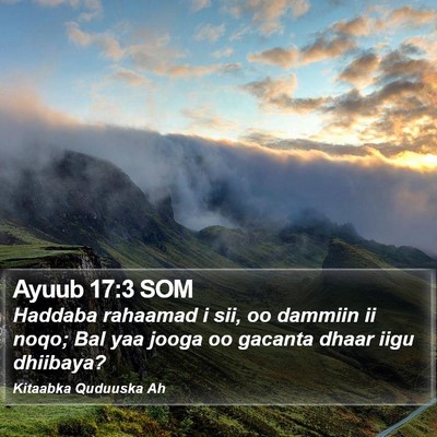 Ayuub 17:3 SOM Bible Verse Image