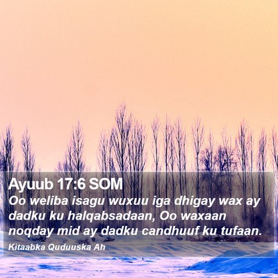 Ayuub 17:6 SOM Bible Verse Image