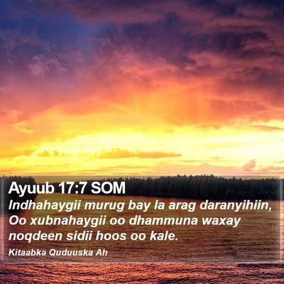 Ayuub 17:7 SOM Bible Verse Image