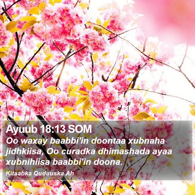 Ayuub 18:13 SOM Bible Verse Image