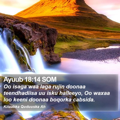 Ayuub 18:14 SOM Bible Verse Image