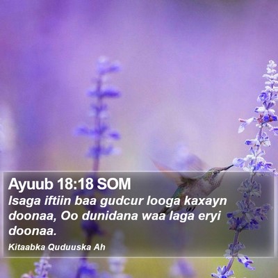 Ayuub 18:18 SOM Bible Verse Image