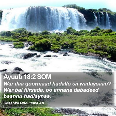 Ayuub 18:2 SOM Bible Verse Image