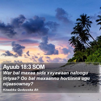 Ayuub 18:3 SOM Bible Verse Image