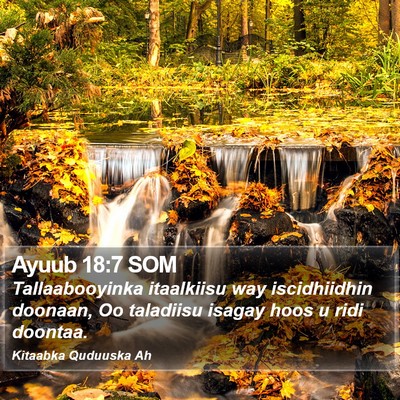 Ayuub 18:7 SOM Bible Verse Image