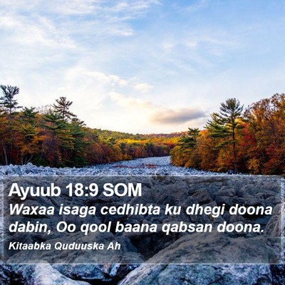 Ayuub 18:9 SOM Bible Verse Image