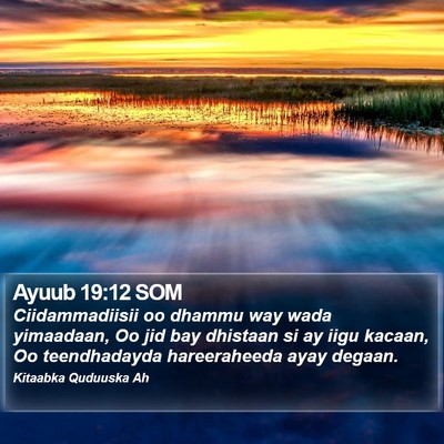 Ayuub 19:12 SOM Bible Verse Image