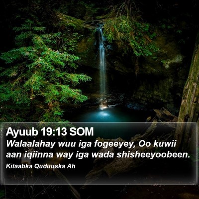 Ayuub 19:13 SOM Bible Verse Image